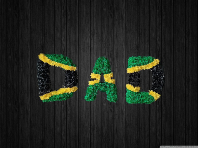 Goldrush - DAD52 - DAD tribute in jamaican national colours. Stand frame included.