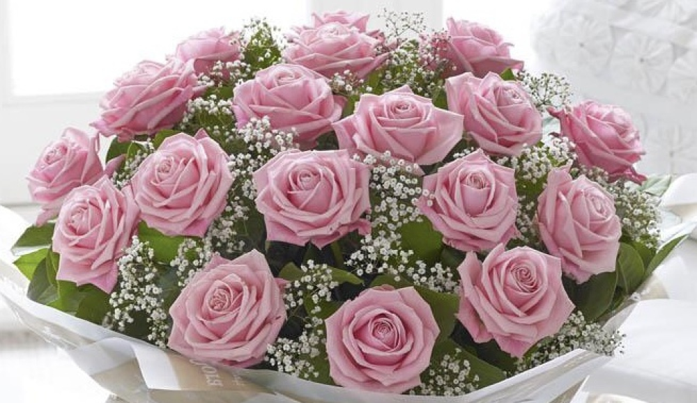 20 Pink Roses