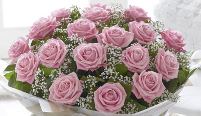 20 Pink Roses - Beautiful arrangement of 20 pink roses