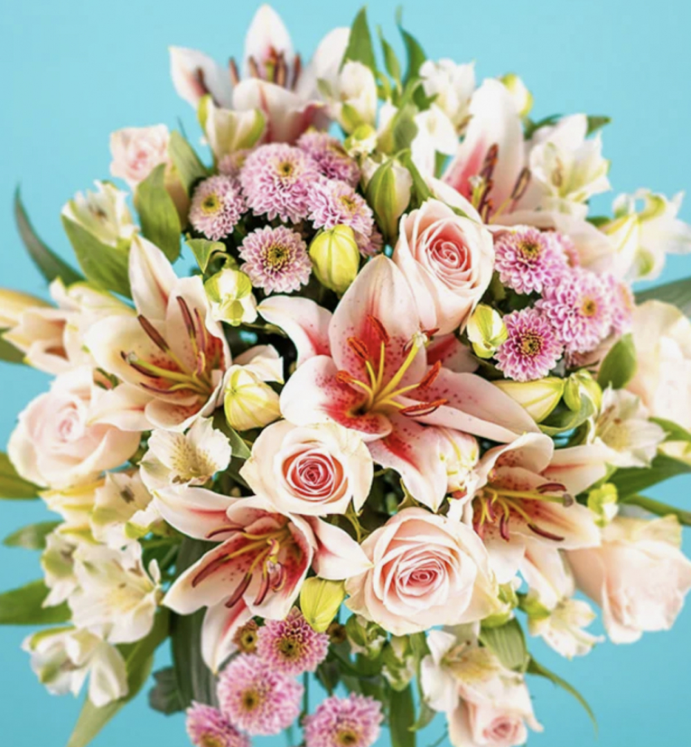 Vintage Blush