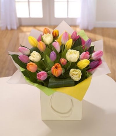 Rainbow Tulips - A stunning hand-tied of mixed Tulips. Simple and elegant, this arrangement will brighten somebody's day. Hand-Tie in water. Available during Spring