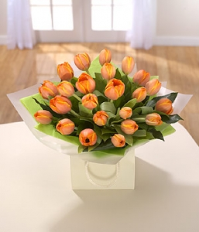 Glowing Tulips - Make somebody's day. Gorgeous orange Tulips beautifully presented in a cream gift bag. Hand-Tie in water. Available during Spring