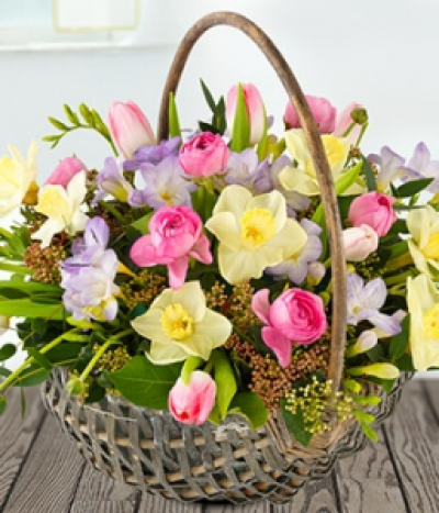 Pretty Spring Basket - This aptly named arrangement is a beautiful basket of spring flowers in pastel pinks, yellows and lilacs. Featuring pink Ranunculus, lavender Freesia, pink Tulips, Daffodils and viburnum topped off with eucalyptus.
