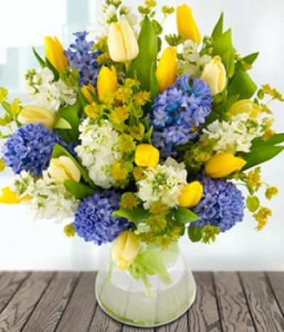 Shades of Spring - This bold and beautiful bouquet of blue hyacinth, white stock, cream and yellow tulip topped with bupleurum is the perfect way to brighten their day. Available during Spring