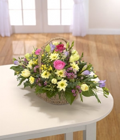 Spring Beauty - A classic basket arrangement of Spring flowers - lilac Freesia, cream double Tulips, mauve Wax Flower and yellow Mimosa. Absolutely beautiful. Available in Spring