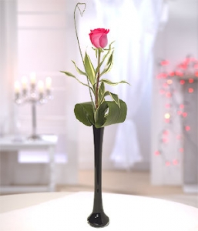 Pink Passion - Step away from tradition with a pink Rose signifying romance and elegance. Presented with foliage in an elegant black vase.