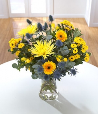 The Bold Bouquet - Yellow Chrysanthemums fight for the lead with Germini and scented Freesia. The bold blue Eryngium contrasts beautifully with the yellow flowers in this bouquet. Hand-Tie in water.
