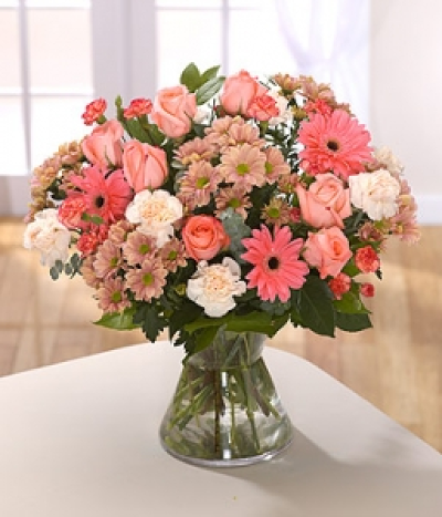 Warm Glow - Peach Gerbera stand out in this bouquet closely followed by Roses and all backed up by Carnations and muted Chrysanthemums. Hand-Tie in water.