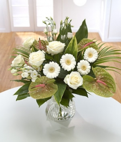 Exceptional Beauty - Moody green Anthuriums bring a touch of the exotic to this mainly white bouquet.
