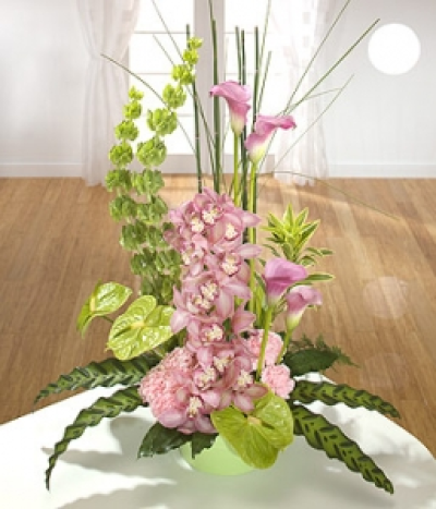 Sophistication - Pink Cymbidium Orchids and Calla Lilies are the heroes of this statement design. Built on a base of frilly pink Carnations and Calathea leaves and accented with green Anthurium.