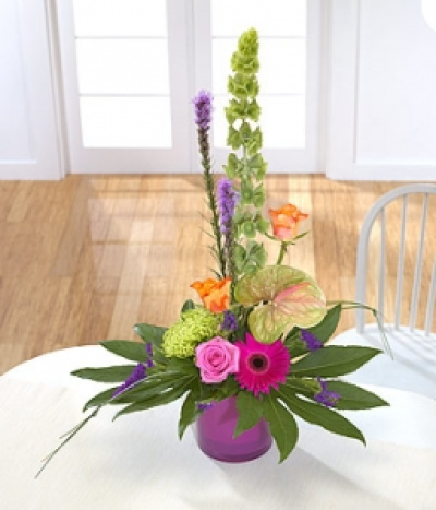 Exotic Elegance - An elegant and stylish design with height provided by Molucella and Liatris. Roses and Gerbera temper the tropical green Anthurium and bloom Chrysanthemum.
