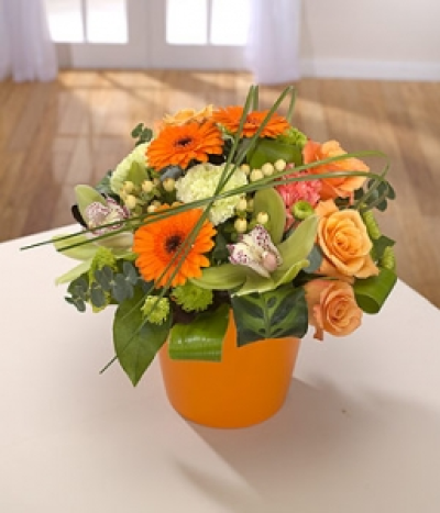Tango - Orange Germini and Roses mixed with green Carnations and Cymbidium Orchid heads. This container arrangement is bursting with colour and vitality.