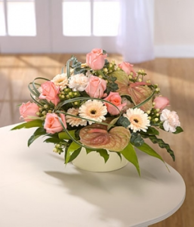 Peach Sundae - Stylish yet easy care. This arrangement in a container features Roses, Germini and trendy Anthuriums.