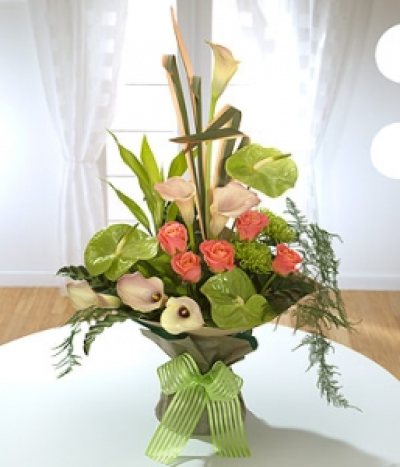 Cairo Classic - Green Anthurium, Roses and Calla Lilies create the perfect leading cast for this statement aqua pack. Just right for a wedding or engagement gift.