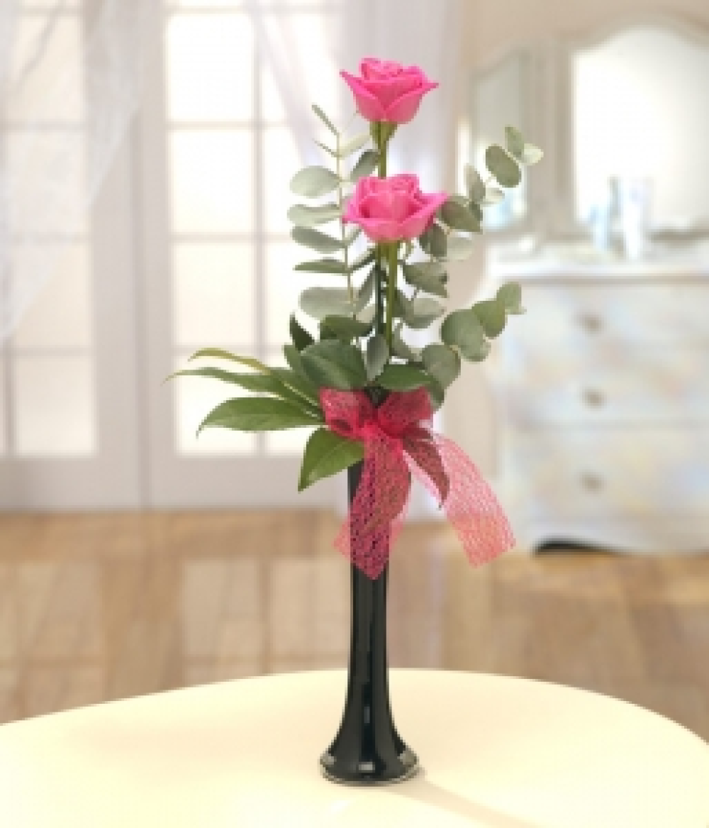 Simple Elegance