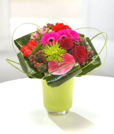 Carnival - Make a statement with this brightly mixed bouquet of Pink Anthirium, Cerise Germini, Brown Hypericum, Red Roses, Red Carnations, Pink Alstromeria and Green Shamrock Chrysanthemum.