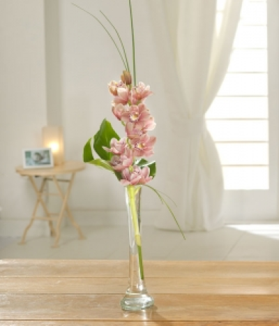 Lone Star - A simply beautiful Orchid, elegantly presented in a single stemmed vase, complemented with Bear Grass and a Manstera Leaf for that perfect finishing touch.