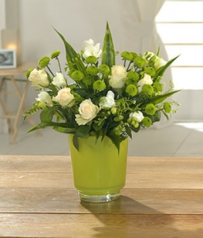 Modernista - Show how much you care with this beautiful arrangement of: freesias, chrysanthemum that simply smell amazing.
