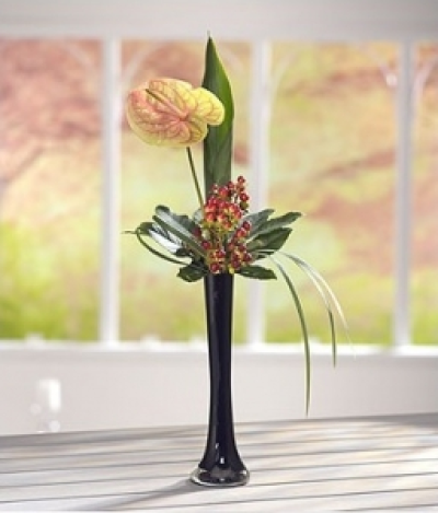 Elegance - Simplicity is the key here a green/pink Anthurium accompanied by red Hypericum Berries in an elegant black lily vase.