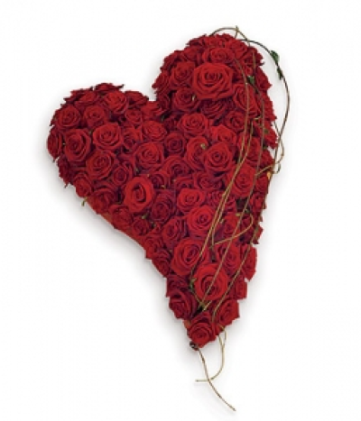 Solid Swinging Heart - A truly stunning contemporary heart shaped tribute of massed red roses with simple bear grass strands and natural foliage edge. Size: Height - 50cm (20") Width - 32cm (13").