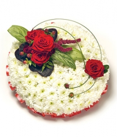 Red & White Posy - A white Chrysanthemum based posy with red ribbon edging, complete with red & green flower spray including Roses, Amaranthus & Hypericum. Size: 31cm (12").