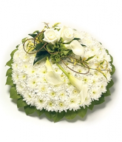 White & Green Posy - A white Chrysanthemum based posy with foliage edge, decorated with a classic spray of white Roses, Calla Lilies and complementary foliage. Size: 31cm (12").