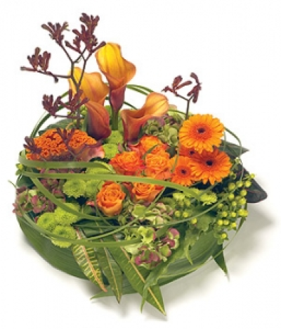 Contemporary Posy - A modern & contemporary posy arrangement in complementary shades of orange, gold & green, including Roses, Celosia, Calla Lilies and Hydrangea wrapped in Aspidistra leaves. Size: 36cm (14").