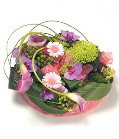 Vibrant Contemporary Posy - A contemporary loose posy arrangement in delicate shades of pink & purple Gerbera & Orchids with a splash of lime green Chrysanthemums and complementary foliage, wrapped in an abaca ribbon and finished with bear grass twists. Size: 36cm (14").
