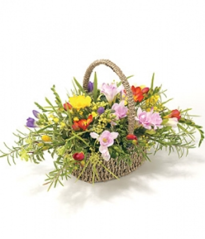 Mixed Freesia Basket - A Sea grass basket arrangement of fragranced mixed freesias with complementary foliage. Size: Height - 31cm (12") Length - 40cm (16"). Available in any colours.