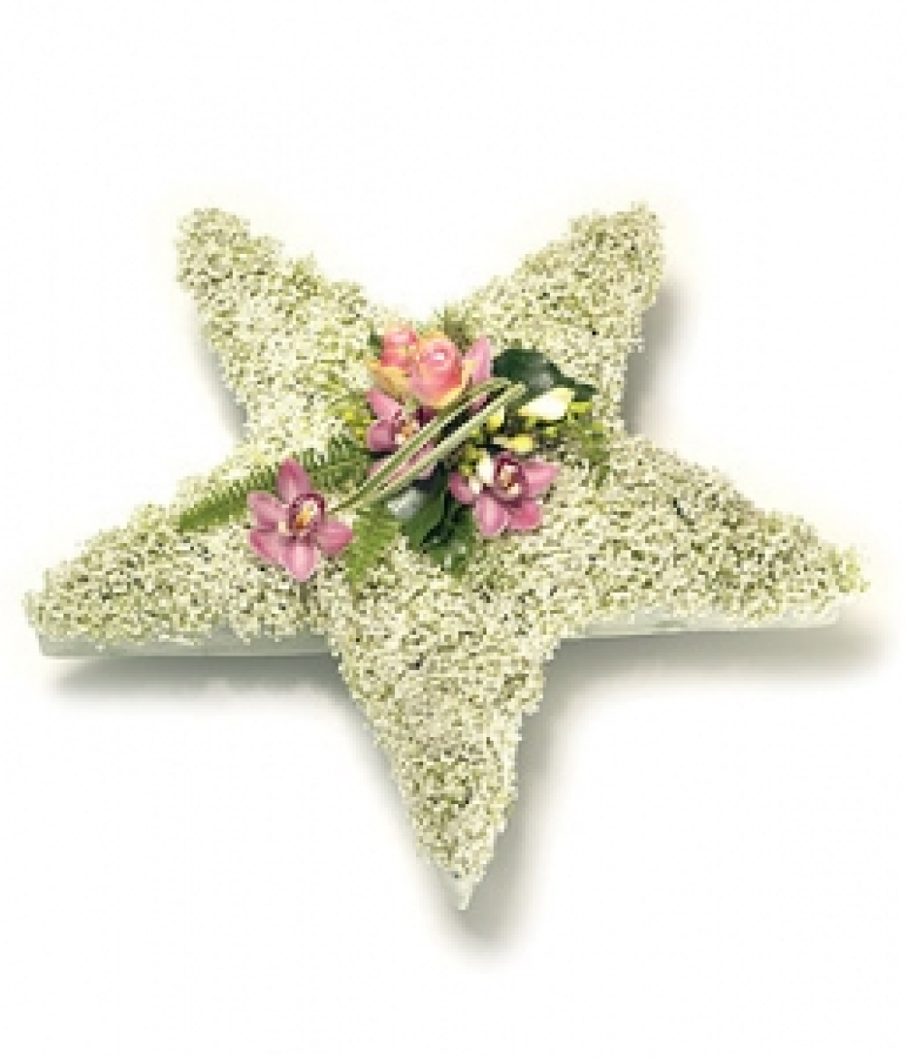 5 Point Star