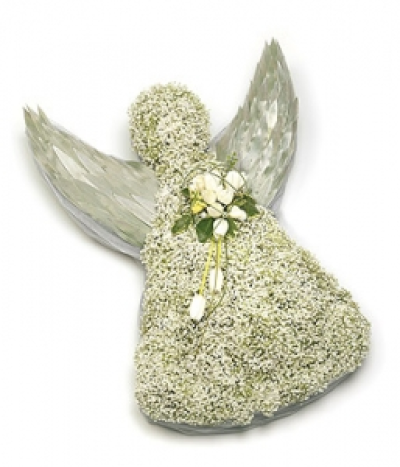 Angel - Based angel wreath - made from Gypsophila and spray of coloured silver leaves, with white Tulips and complementary foliage. Size: Height - 61cm (24") Width - 44cm (17").