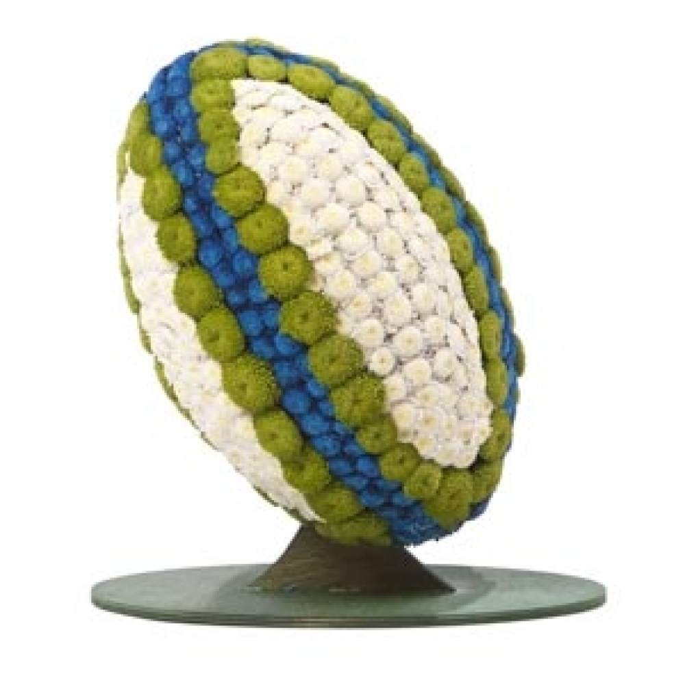 Rugby Ball