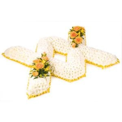 Double Kiss - A large double kiss with two flower clusters.