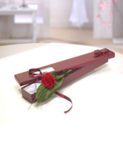 Perfection Simplicity - A simple statement of love. A single red Rose in a beautiful gift box.