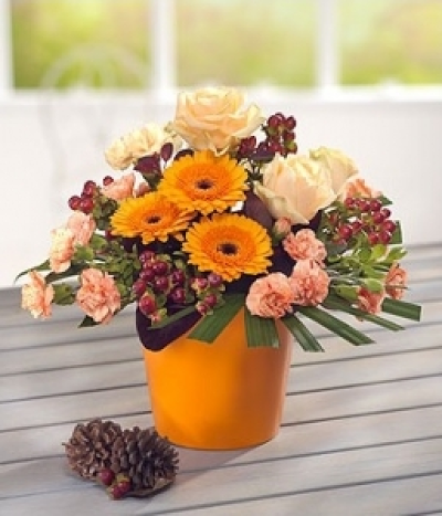 Pumpkin Pie - A zesty orange autumn container arrangement, packed with Germini, Roses and Carnations.