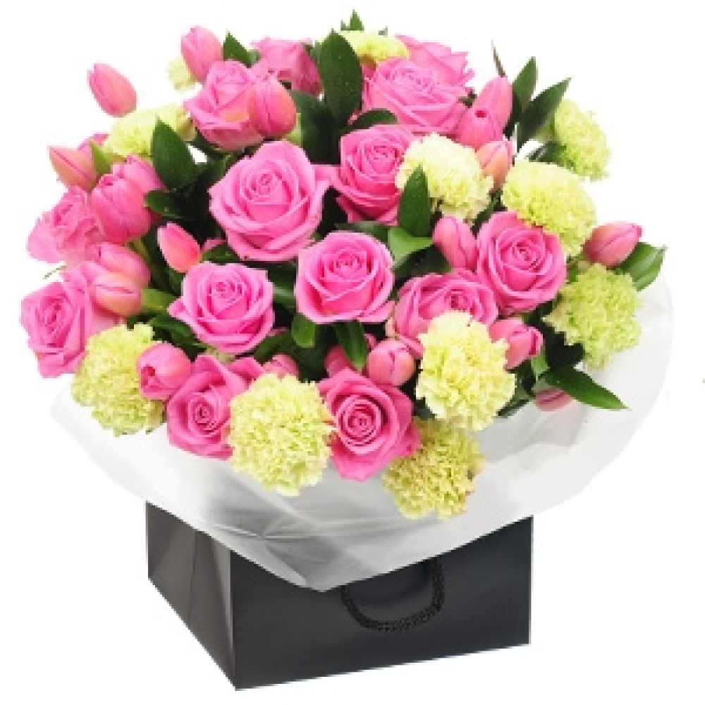 Cherub Pink