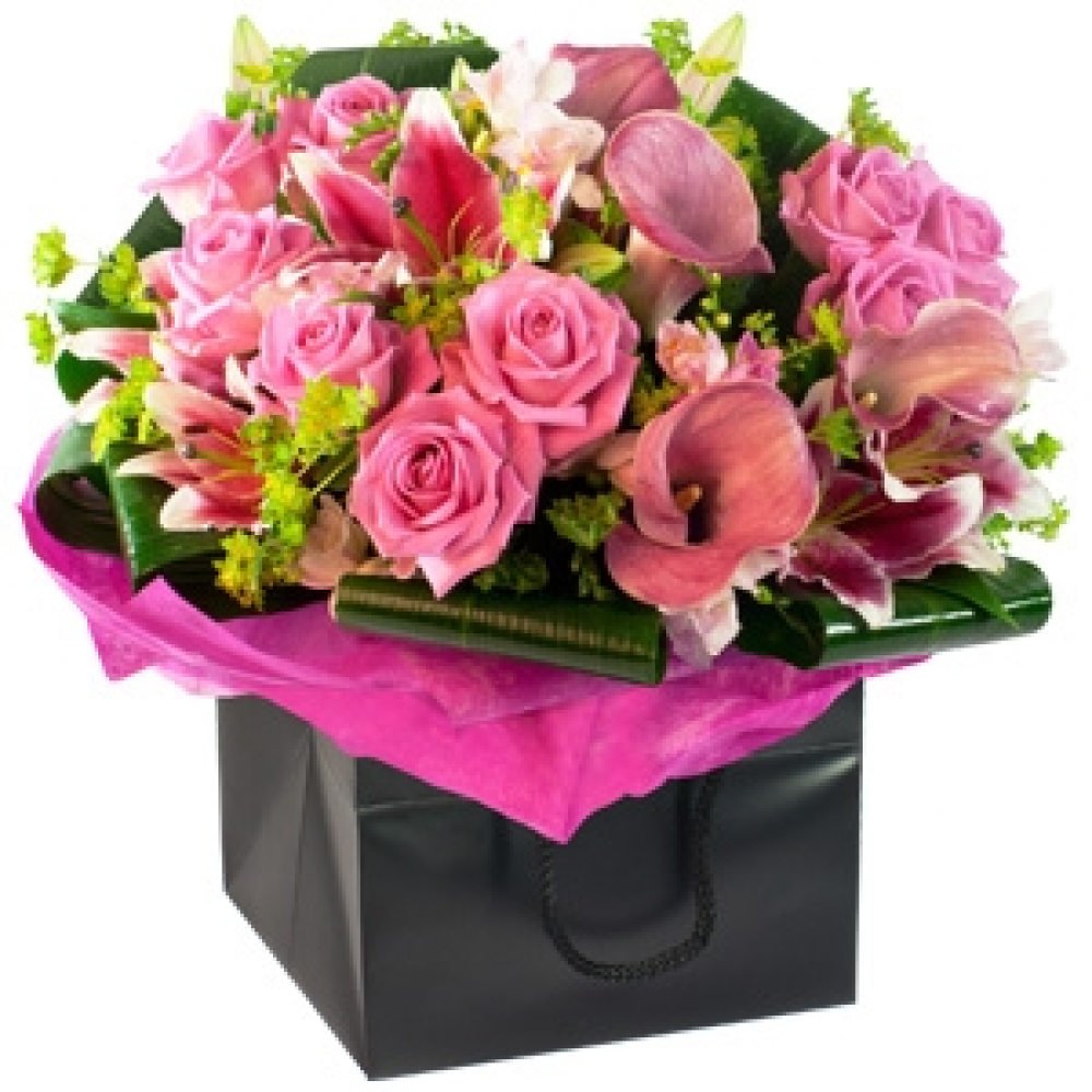 Pink Flirtation