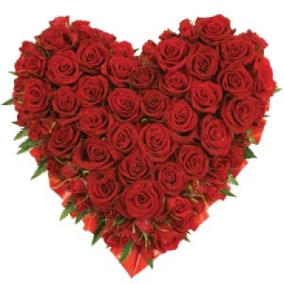 Luxury Rose Heart - Beautiful massed roses arranged in a traditional heart shaped, crafted by our skilled florists - an emotive tribute for times of sadness and loss. Small 15" £75.00 Standard 18" £100.00 Luxury 21" £120.00 Superior 24" £250.00