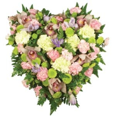 Wild At Heart - The wild at heart wreath is one of the most popular funeral tributes. This simple loose arrangement is brimming with mother natures favorites flowers. A luxury orchid heart loosely composed of delicate ferns, lime green seasonal flowers with stunning cymbidium orchids finished off with fragrant freesia. This luxury heart tribute has been designed using the very finest fresh flowers. Sending a floral heart tribute to a funeral makes a deeply personal statement and is indicative of the love an...