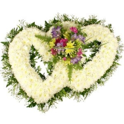 Twin Massed Hearts - This twin heart arrangement is the true symbol of love and a deeply moving tribute. Edged with gypsophila and greenery our Twin Massed Hearts are crafted from dozens of white chrysanthemum blooms, finished with floral detailing.