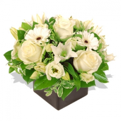 Snow - The pure white roses, lilies and gerberas, arranged in a small glass cube, give the impression of purity - Snow White would have loved them! A simple display that lets the beauty of the flowers speak for itself.