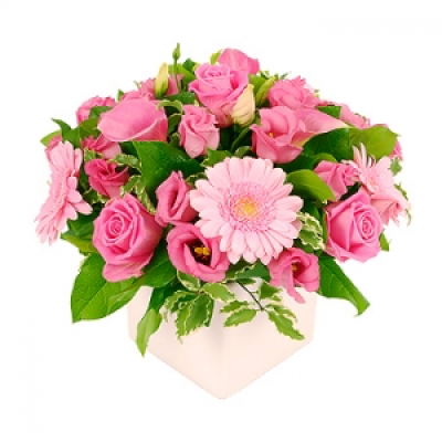Tickled Pinks - For anyone who loves pink, this spectacular arrangement of bright pink calla lilies, pink aqua roses and pink germini surrounded by beautiful foliage will brighten their day and the delightful perfume of the flowers will lighten their spirits.