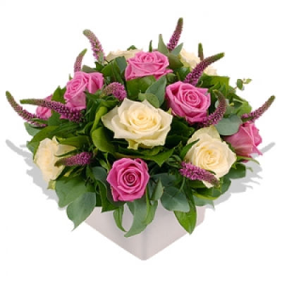 Dreamy Lady - With white roses symbolising love and innocent romance, and pink roses depicting happiness and joy, this cubed vase arrangement is the perfect gift to say "Thank You" or "You're wonderful". The magenta spikes of veronica add a subtle fragrance to make this a pretty addition to any home or office.
