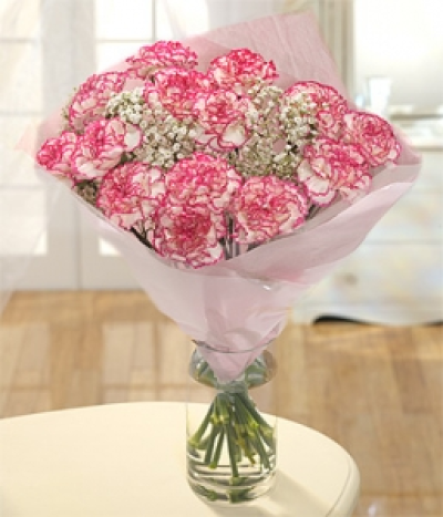 Petticoat - Simple in design but very pretty pink Carnation bouquet interspersed with the delicate white forms of Gypsophila. Hand-Tie in water.