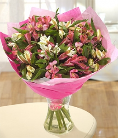 Soft Alstroe - A long lasting bouquet of pink and white Alstroemeria.