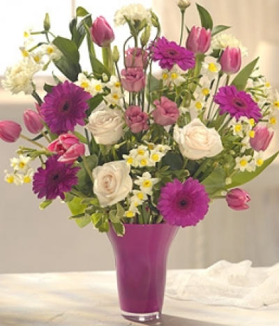 Shady - An ideal flower bouquet. Striking cerise Gerbera nestled alongside dusky pink Tulips and Lisianthus blooms with white Narcissi, cream Roses and Carnations to complete the design.