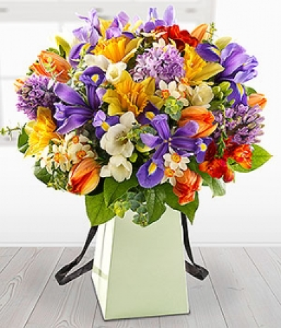 Scent-sational - All your spring flower favourites in one incredibly aromatic aqua gift bag Arrangement. Daffodils, Freesia, Tulips, Iris, Hyacinths and Narcissi. Available Spring.