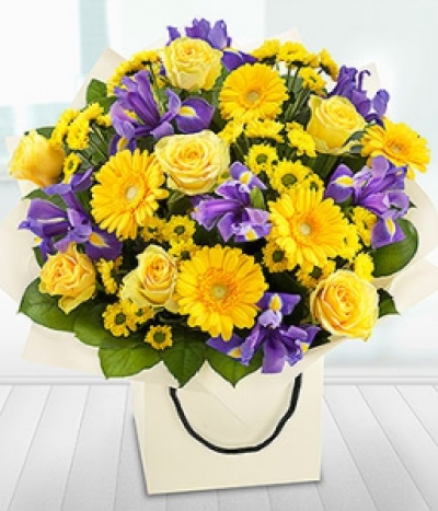 Bold and Beautiful - The gorgeous purple Irises in this gift bag bouquet simply zing against the bright yellow Roses, Germini and Spray Chrysanthemums.