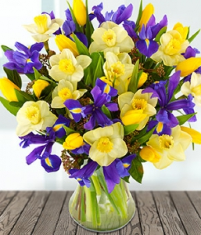 Hello Spring - Send someone a ray of sunshine with the spring bouquet of blue iris, daffodils and yellow tulips finished with viburnum. Available during Spring