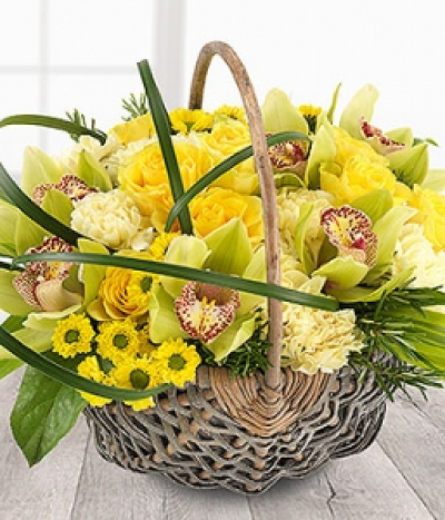 Sunshine Basket - A bright yellow flower basket with a touch of the tropics. Green Cymbidium Orchids, yellow Roses and Spray Chrysanthemums mixed with cream Carnations, a dash of Rosemary and a flourish of Lily Grass in a wicker basket.